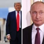 snooki net worth how tall is putin